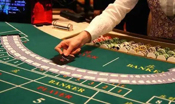Mobile live casino browsing cards within the 2025 apk platform